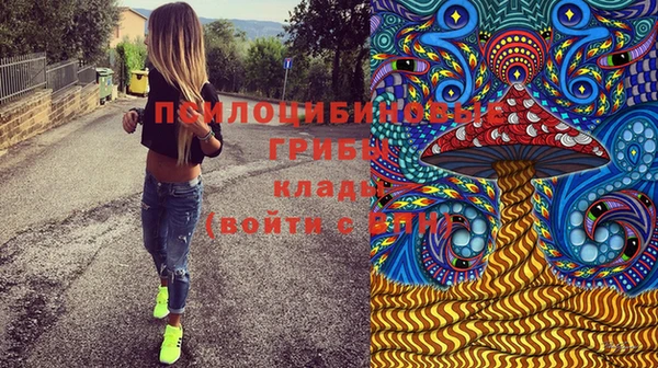 Альфа ПВП Алексин