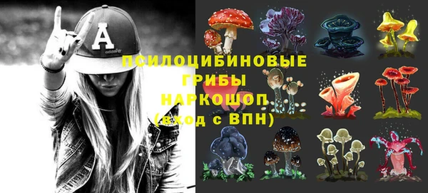 Альфа ПВП Алексин